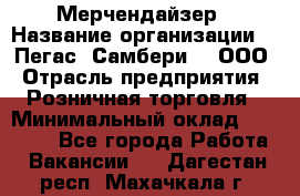Мерчендайзер › Название организации ­ "Пегас" Самбери-3, ООО › Отрасль предприятия ­ Розничная торговля › Минимальный оклад ­ 23 500 - Все города Работа » Вакансии   . Дагестан респ.,Махачкала г.